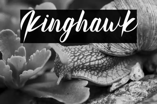 Kinghawk Font examples