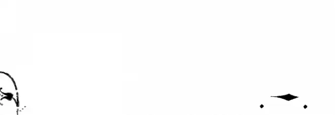 KingjolA Font OTHER CHARS