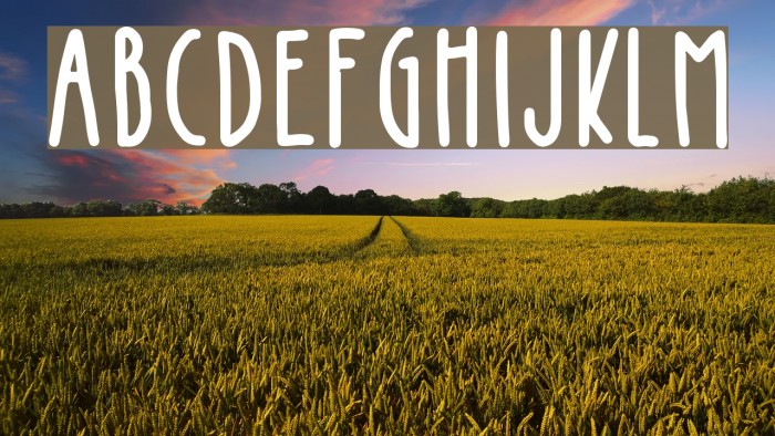 Kinglet Cute Font examples