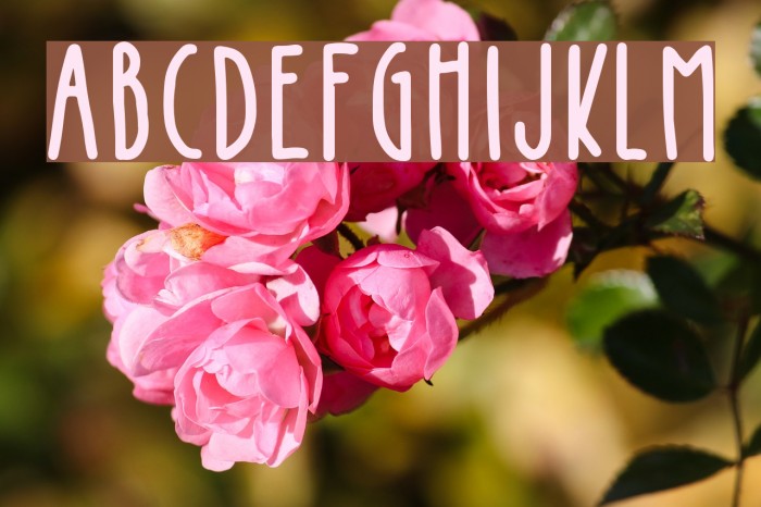 Kinglet Cute Font examples