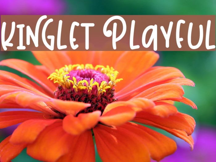 Kinglet Playful Example 1