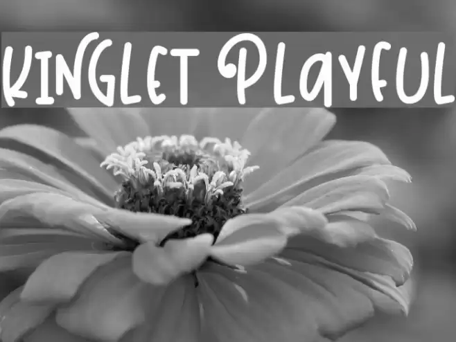 Kinglet Playful Font examples