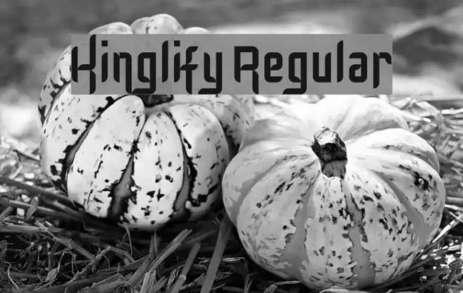 Kinglify Regular Font examples