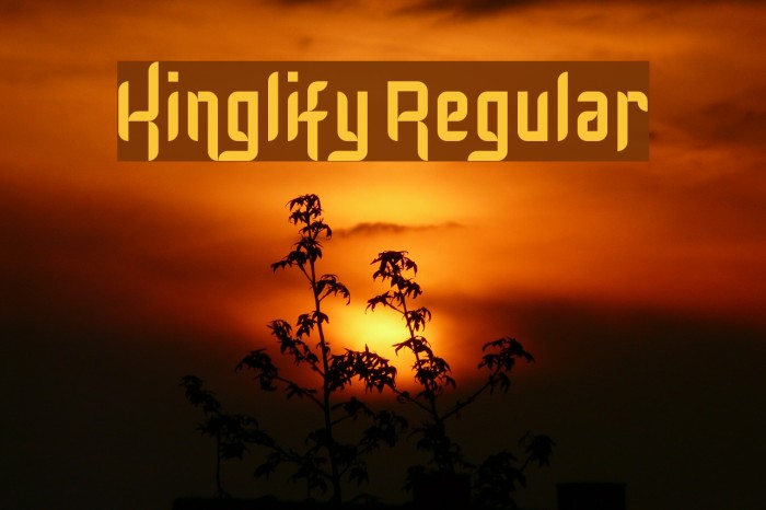 Kinglify Regular Font examples