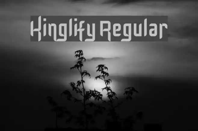 Kinglify Regular Font examples