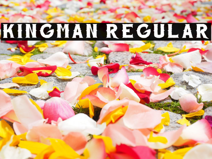 Kingman Regular Example 3