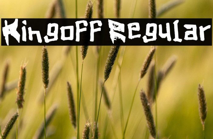 Kingoff Regular Example 2