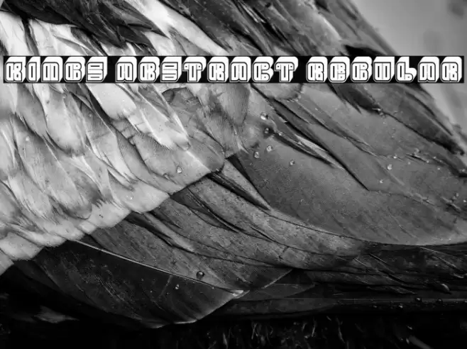 Kings Abstract Regular Font examples