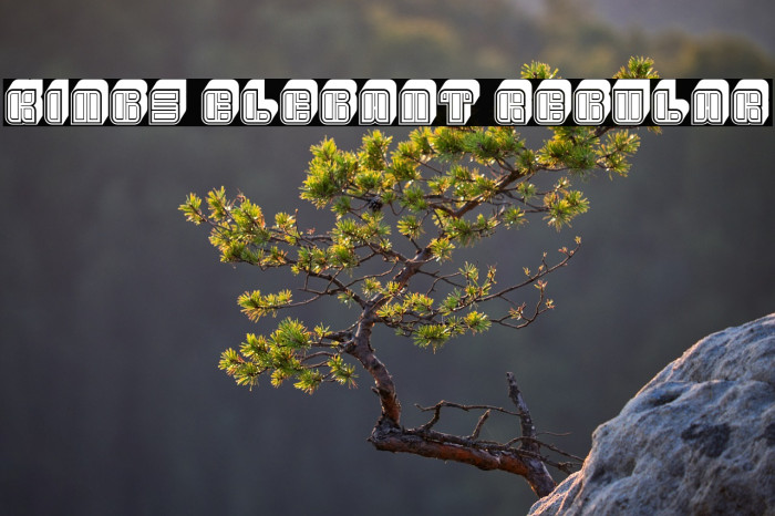 Kings Elegant Regular Example 3