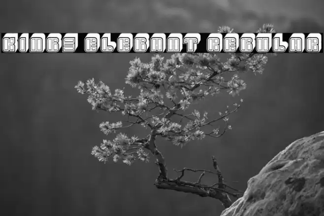 Kings Elegant Regular Font examples