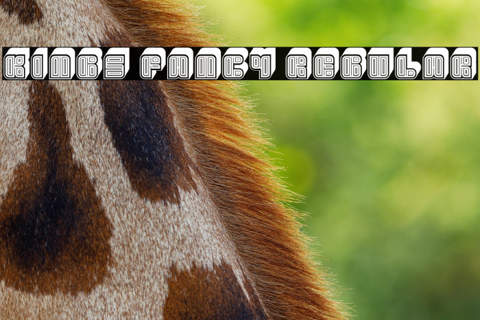 Kings Fancy Regular Example 2