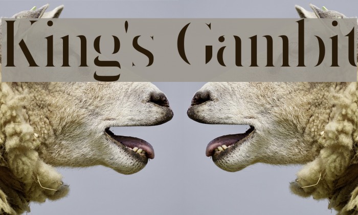 King's Gambit Font examples