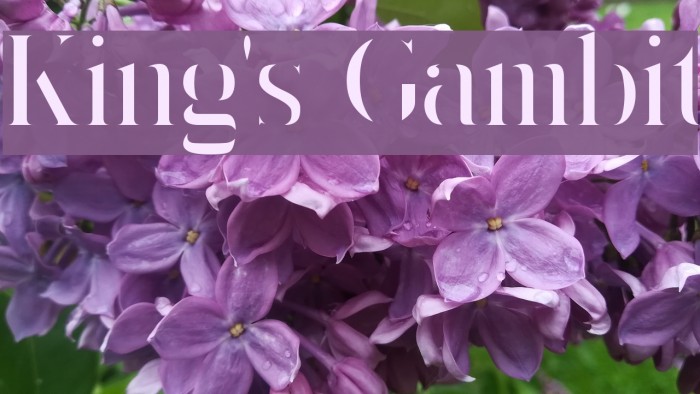 King's Gambit Font examples