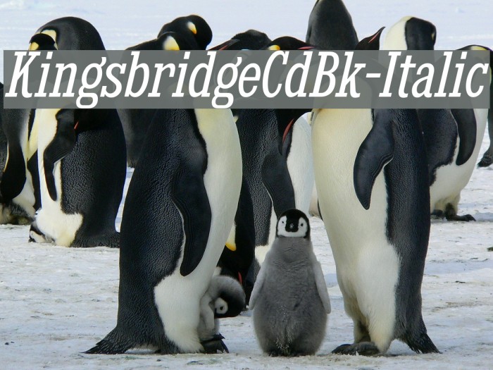 KingsbridgeCdBk-Italic Font examples