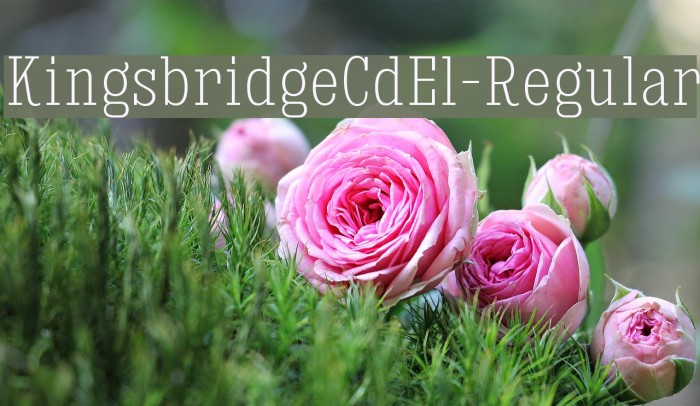 KingsbridgeCdEl-Regular Example 2