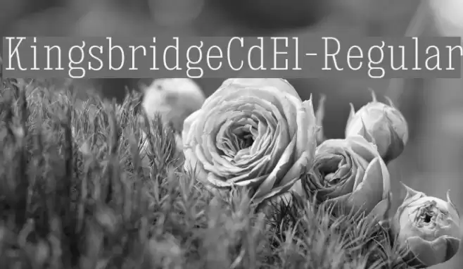 KingsbridgeCdEl-Regular Font examples