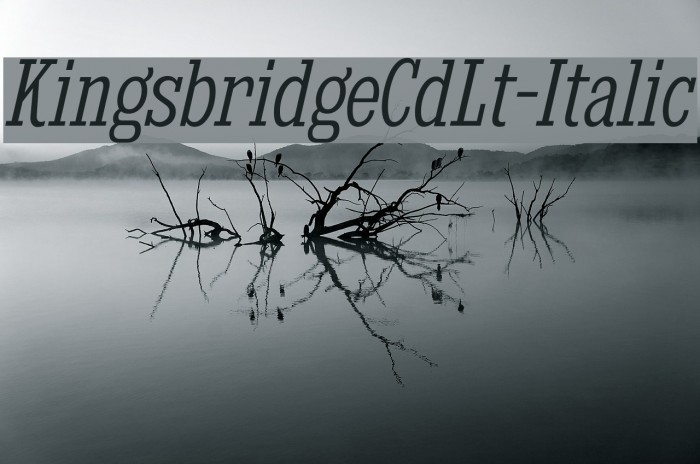 KingsbridgeCdLt-Italic Font examples