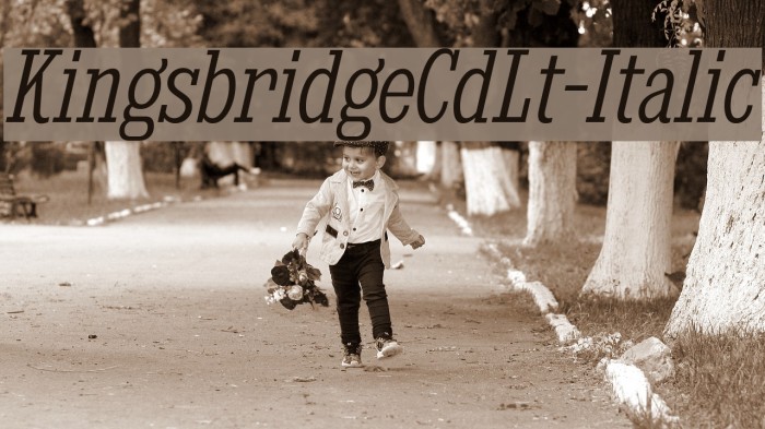 KingsbridgeCdLt-Italic Font examples