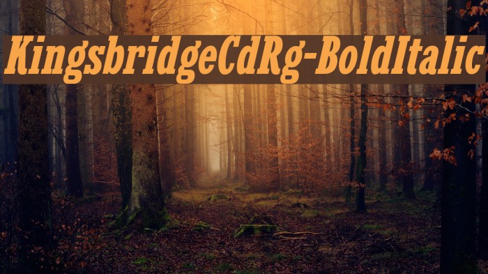 KingsbridgeCdRg-BoldItalic Example 1