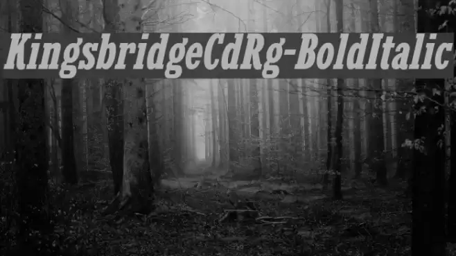 KingsbridgeCdRg-BoldItalic Font examples