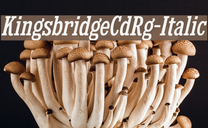 KingsbridgeCdRg-Italic Font examples