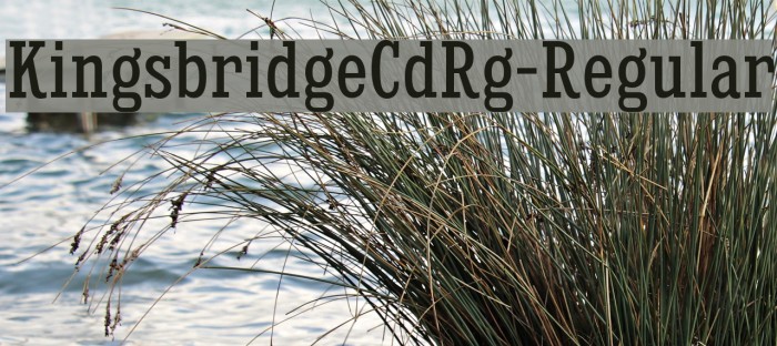 KingsbridgeCdRg-Regular Example 2