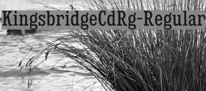 KingsbridgeCdRg-Regular Font examples