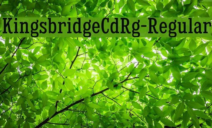 KingsbridgeCdRg-Regular Example 3