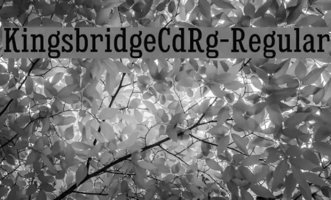 KingsbridgeCdRg-Regular Font examples