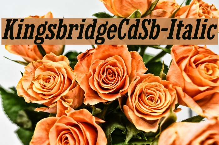 KingsbridgeCdSb-Italic Font examples
