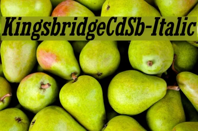 KingsbridgeCdSb-Italic Example 3