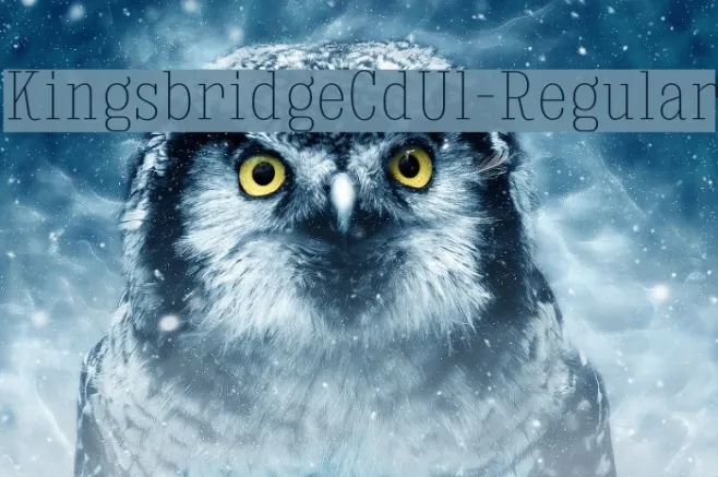 KingsbridgeCdUl-Regular Example 3