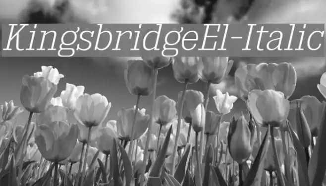 KingsbridgeEl-Italic Font examples