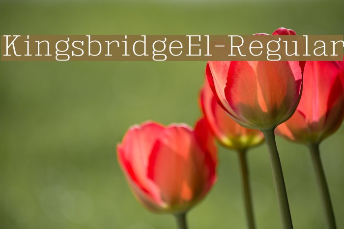 KingsbridgeEl-Regular Font examples