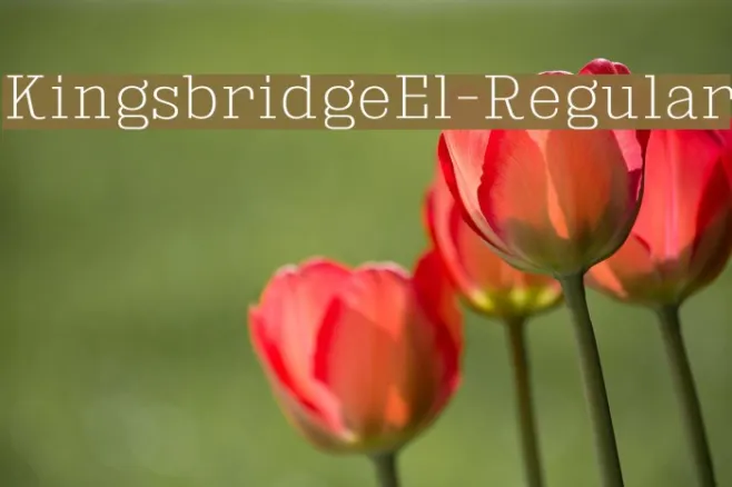KingsbridgeEl-Regular Example 3