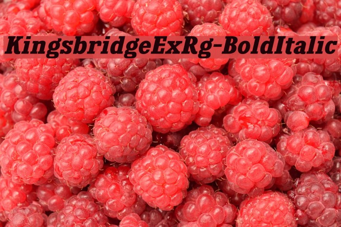 KingsbridgeExRg-BoldItalic Font examples