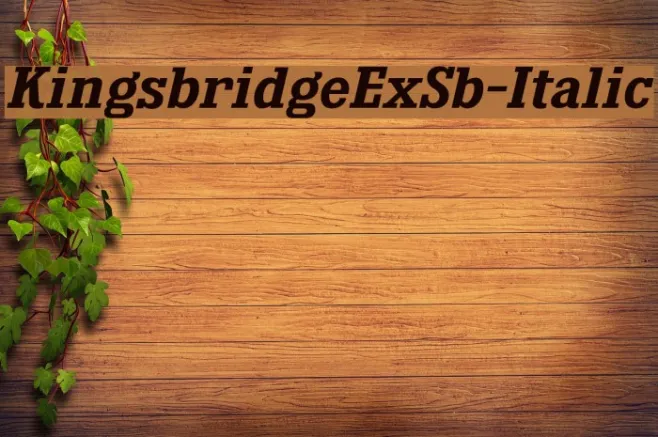KingsbridgeExSb-Italic Example 3