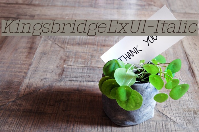 KingsbridgeExUl-Italic Example 1