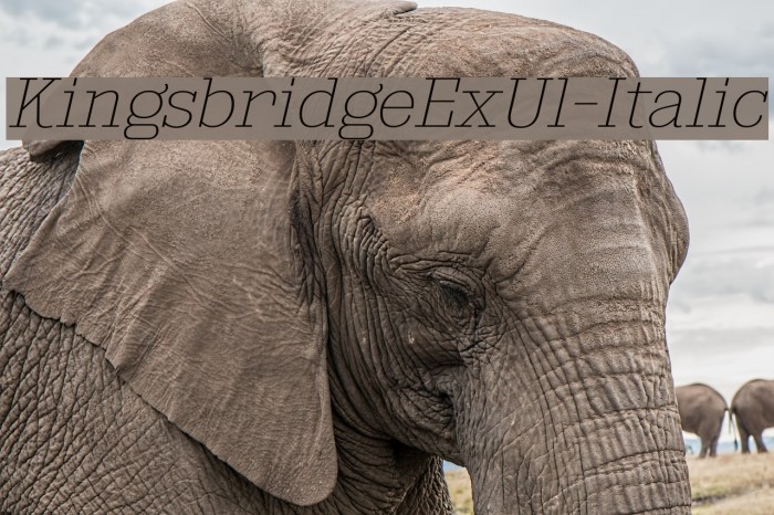 KingsbridgeExUl-Italic Example 2