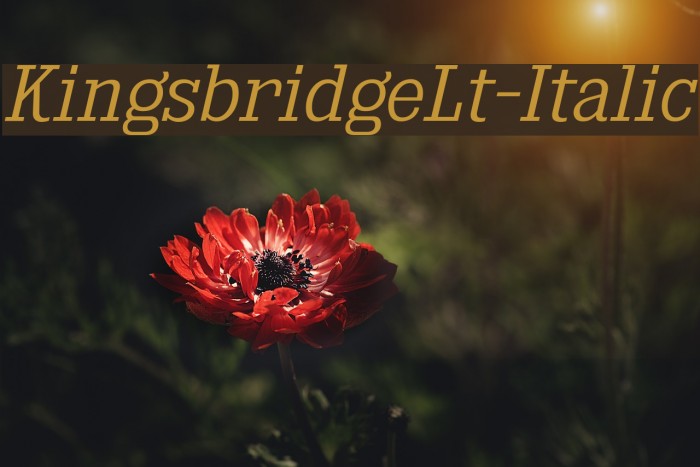 KingsbridgeLt-Italic Font examples