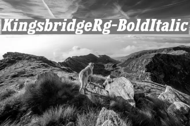 KingsbridgeRg-BoldItalic Font examples