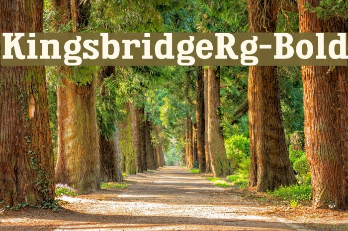 KingsbridgeRg-Bold Font examples