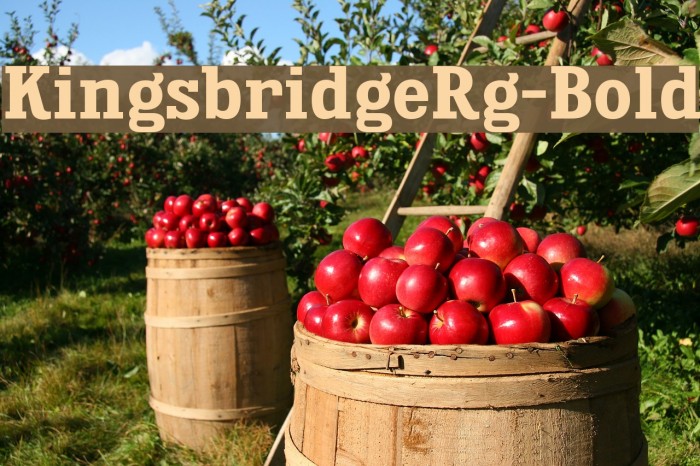 KingsbridgeRg-Bold Font examples