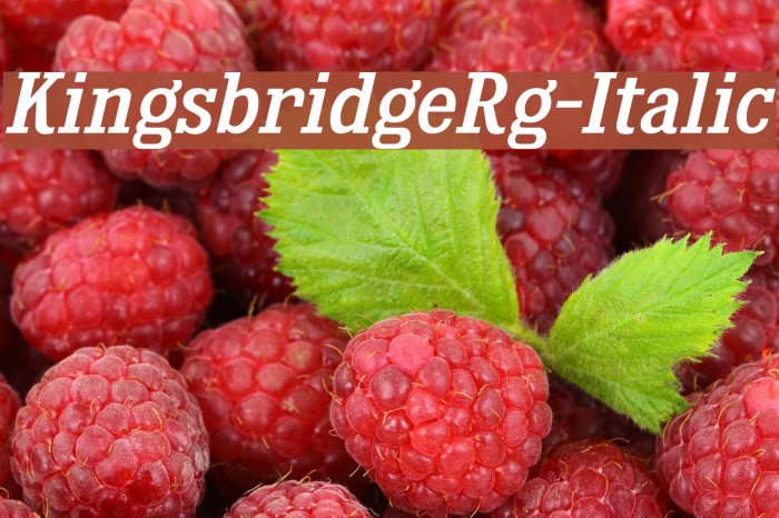 KingsbridgeRg-Italic Example 2