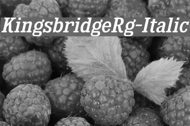 KingsbridgeRg-Italic Font examples