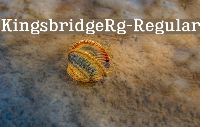 KingsbridgeRg-Regular Font examples