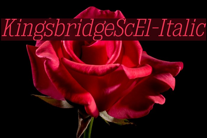 KingsbridgeScEl-Italic Font examples