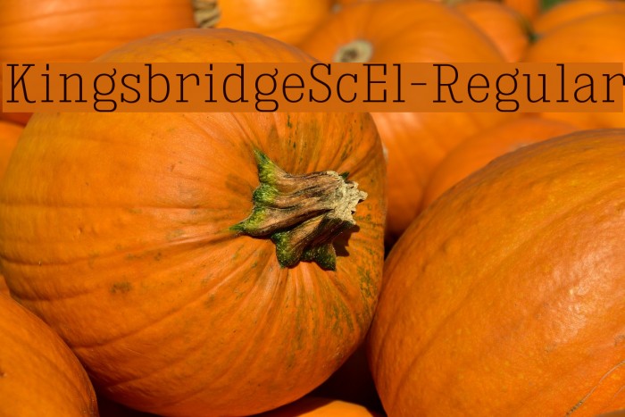 KingsbridgeScEl-Regular Example 3