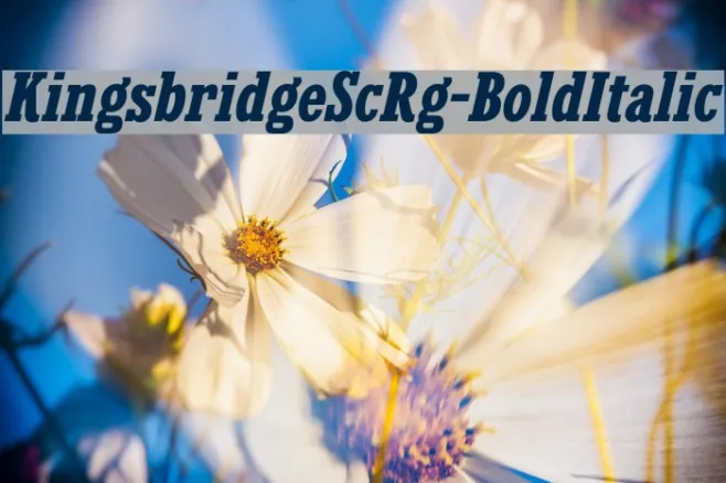 KingsbridgeScRg-BoldItalic Example 1