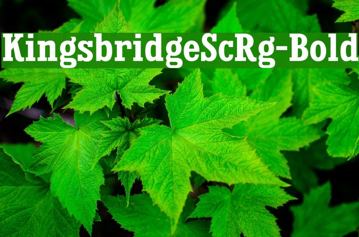 KingsbridgeScRg-Bold Font examples